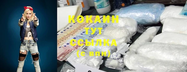 крисы Россошь