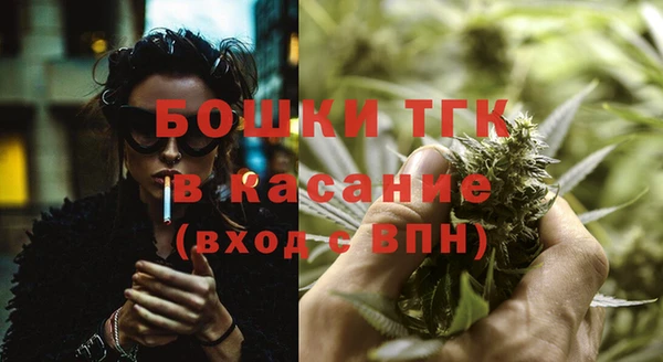 мдпв Горняк
